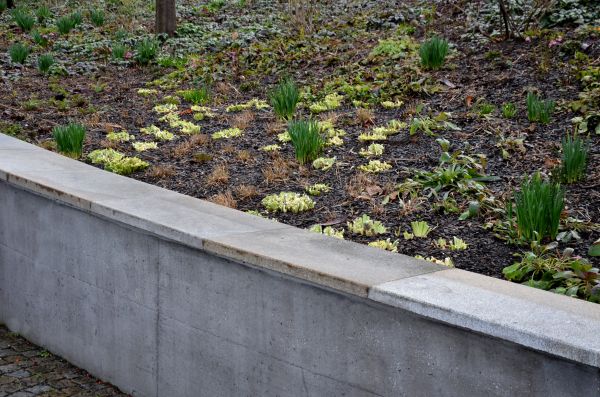 Cost of Concrete Wall Construction in North Las Vegas
