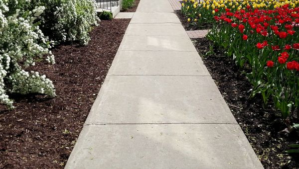 Cost of Cement Sidewalk Installation in North Las Vegas