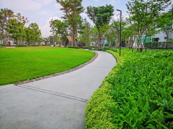 Cost of Cement Walkway Service in North Las Vegas