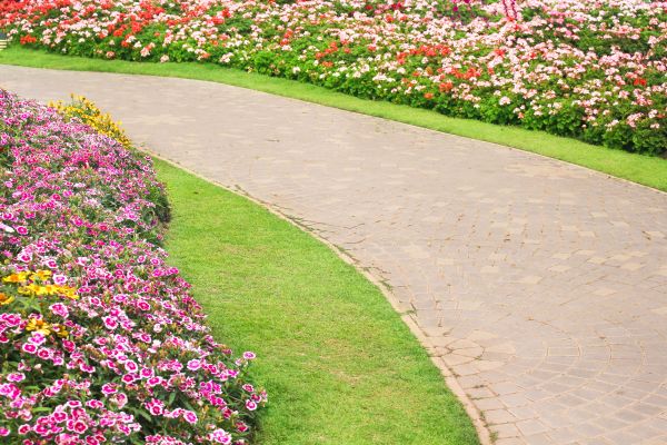 Cost of Concrete Walkway Service in North Las Vegas